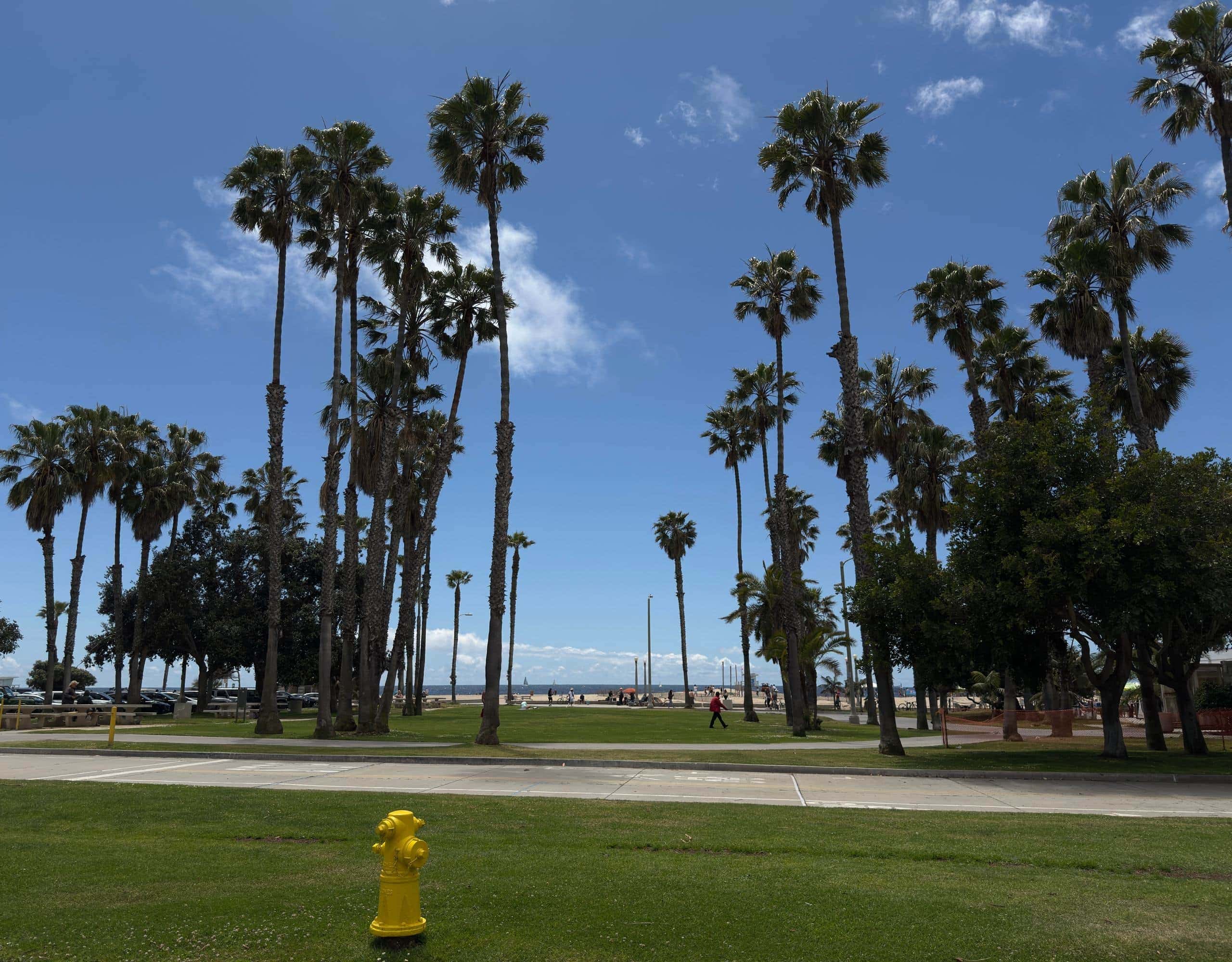 Venice Ocean Front in Los Angeles