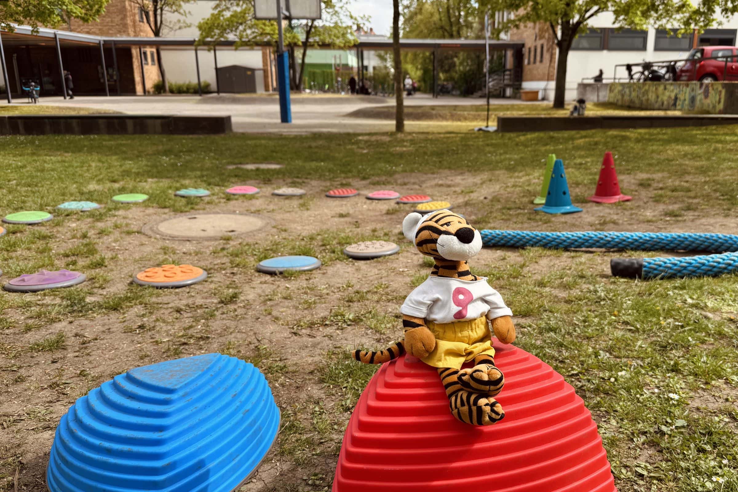 Mini-Tipps im Mai: Tiger-Sportler // HIMBEER