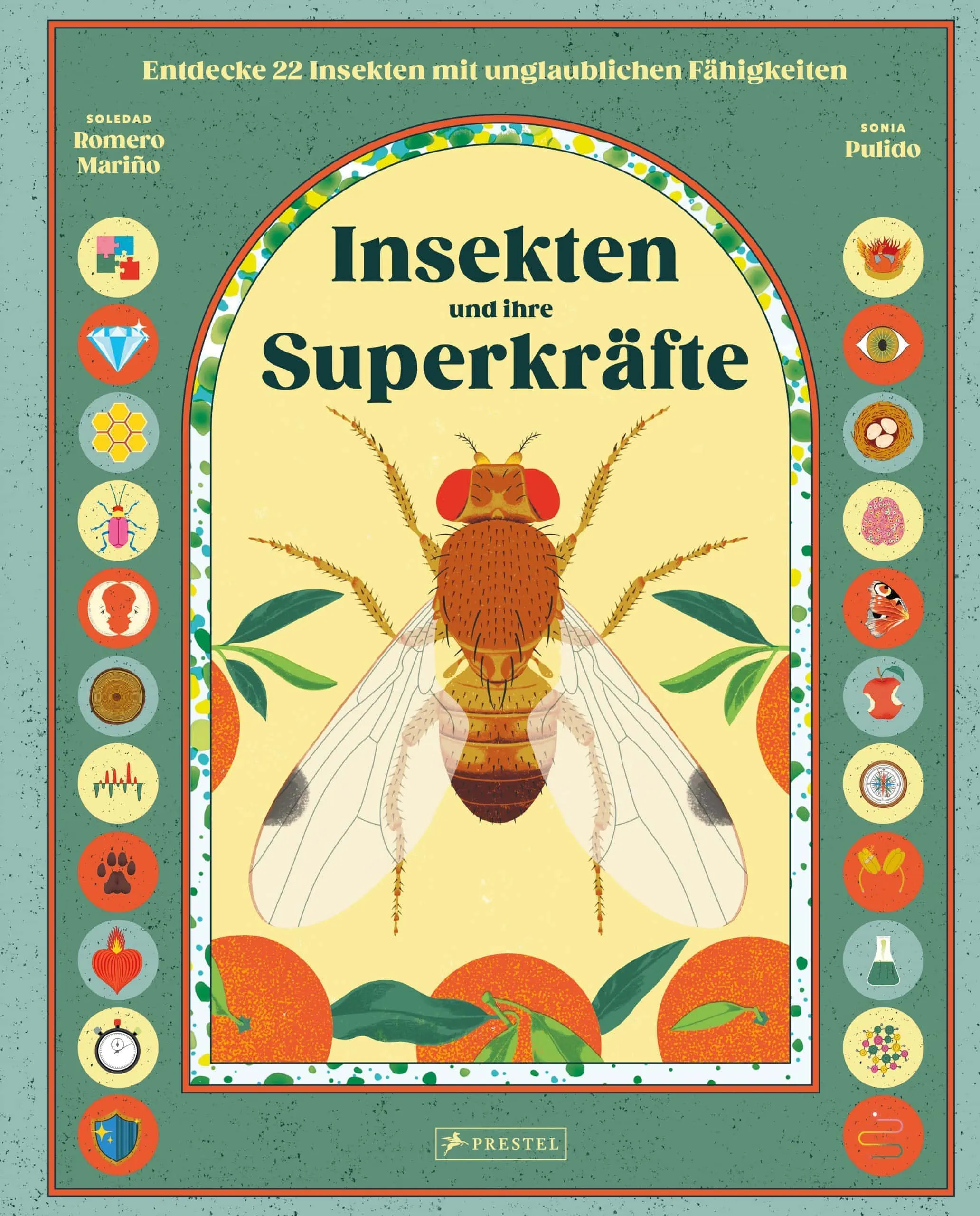 Tolle Kinderbücher über die Natur: Insekten und ihre Superkräfte