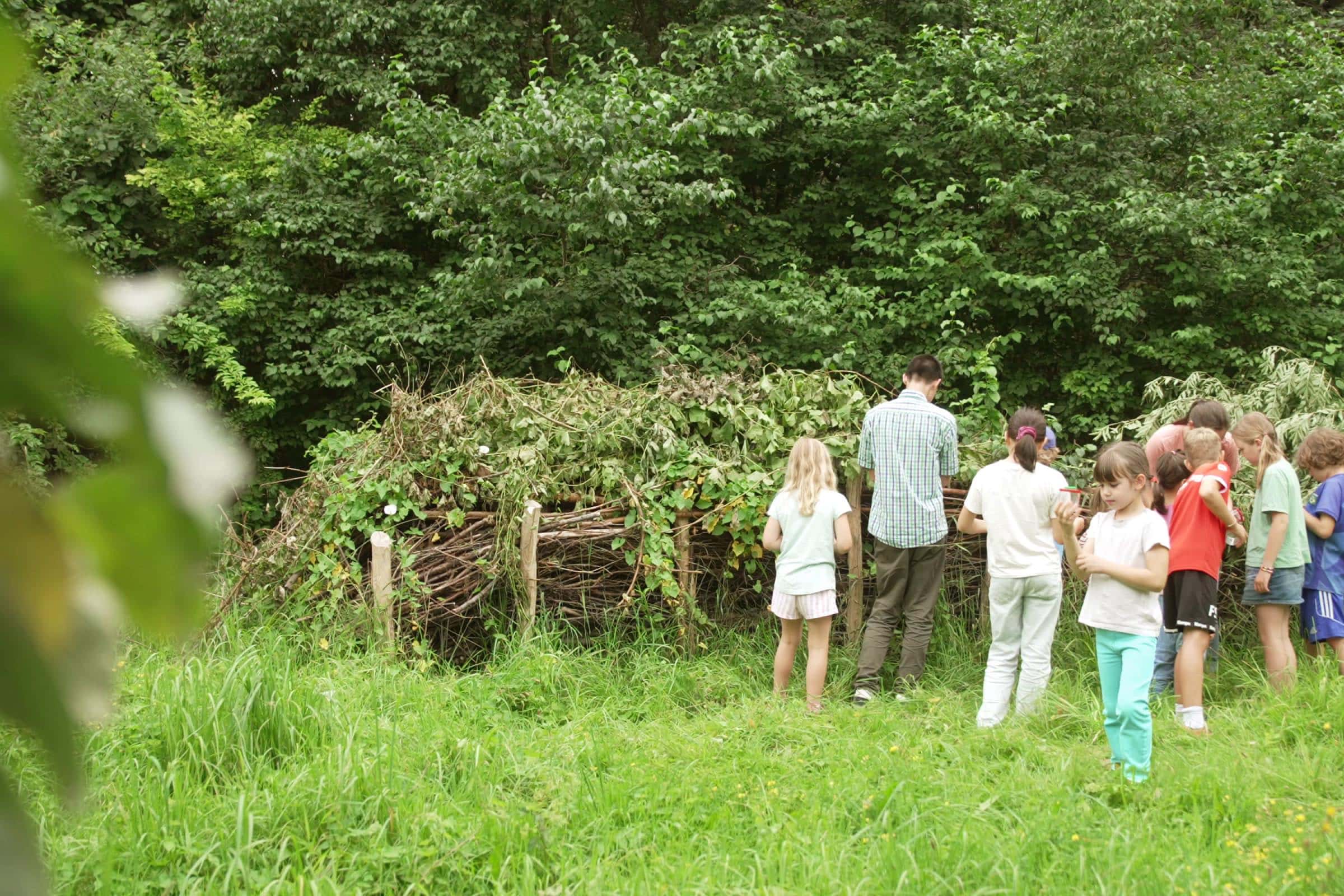 Natur Ferienkurse in München: das ökologische Bildungszentrum // HIMBEER