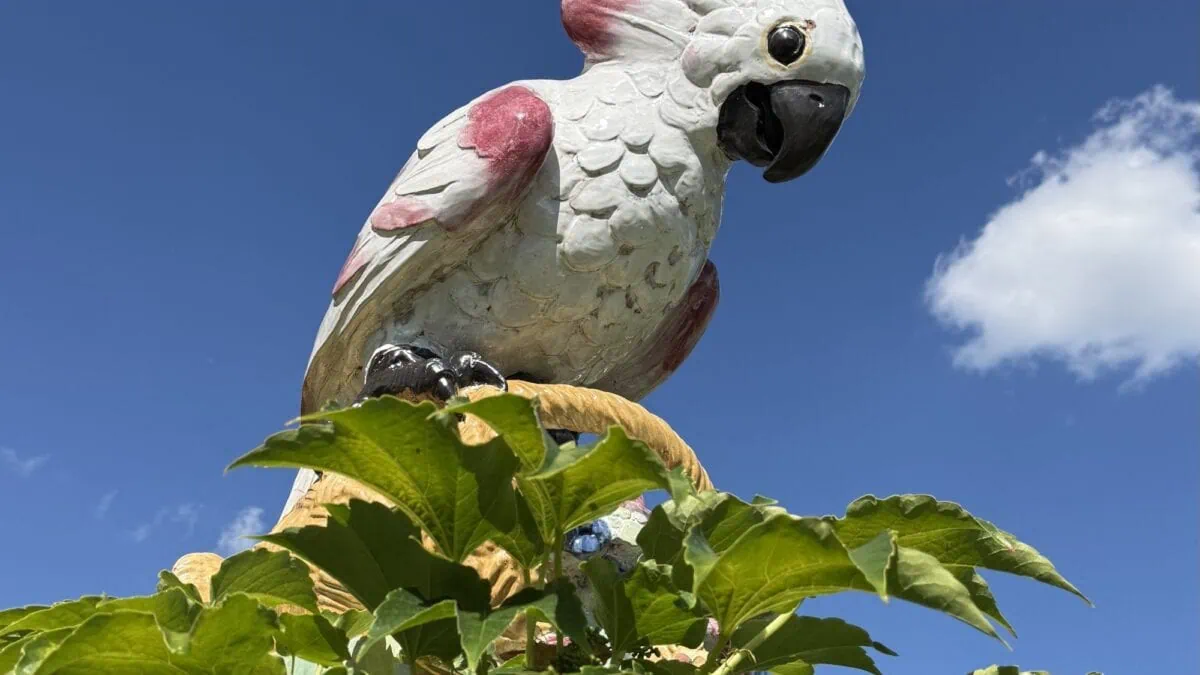 Nicht verpassen im August 2026 – Highlights für Familien mit Kindern in München: Feste, Ferienprogramm, tolle Events und Orte für Kinder