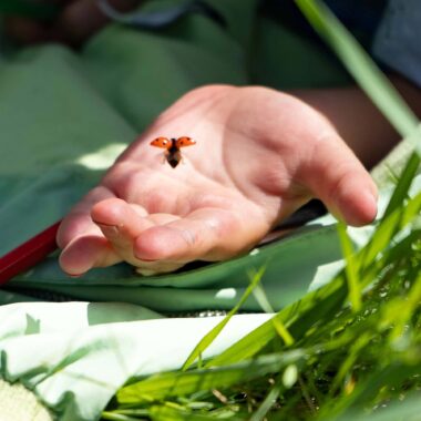Ferienkurse in der Natur – unsere Liste der Anbieter:innen // HIMBEER