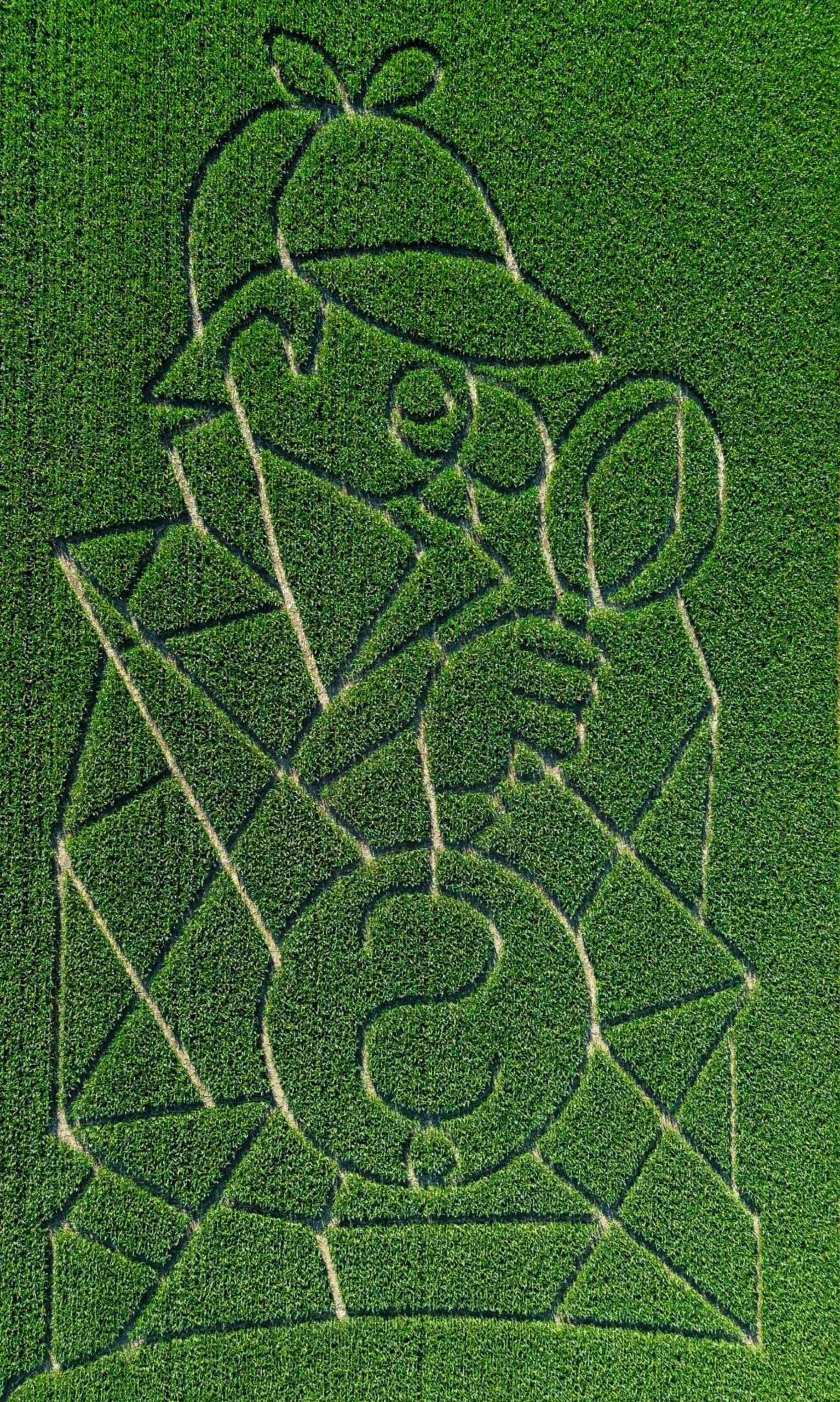 Maisfeld-Labyrinthe in und um München: Labyrinth Oderding // HIMBEER