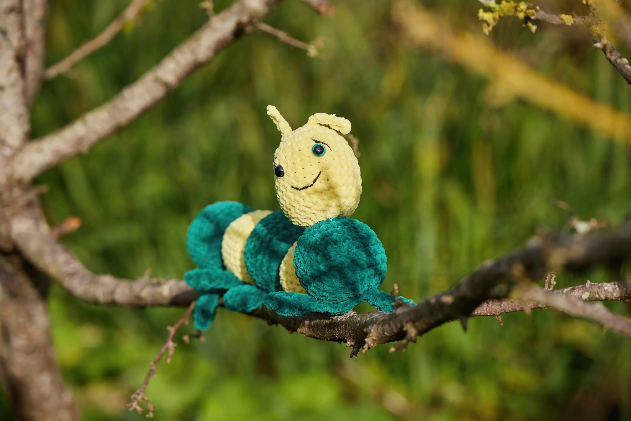Mini-Tipps im August: Die kleine Raupe Nimmersatt // HIMBEER