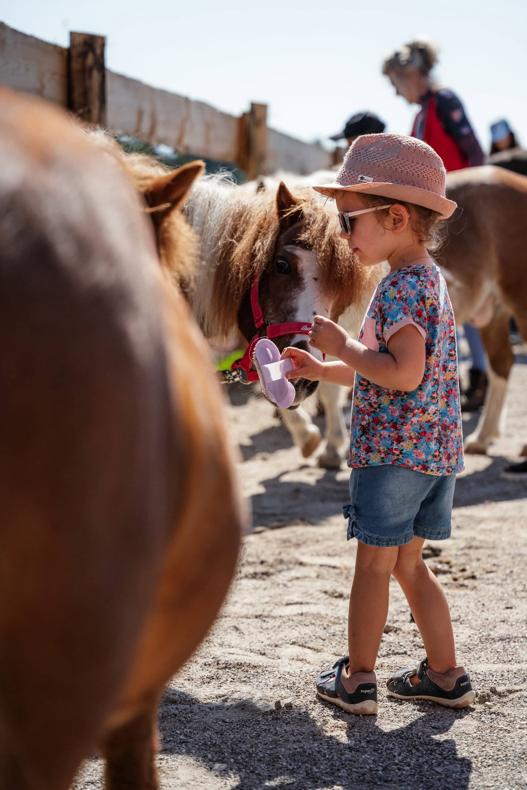 Gut Aiderbichl. Ponys putzen beim Kinderfest auf Gut Aiderbichl Iffeldorf – Tipps für die erste Sommerferienwoche KW 32 //HIMBEER
