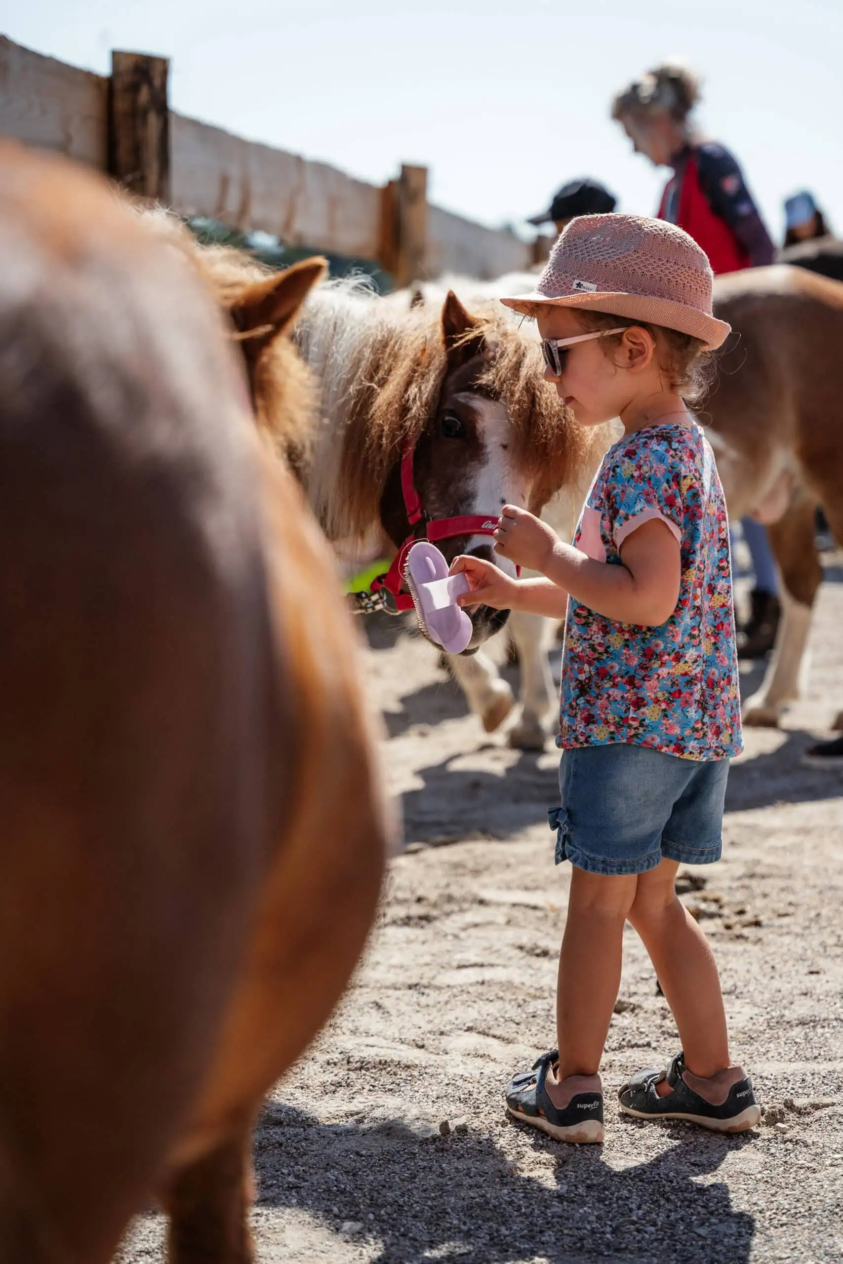 Gut Aiderbichl. Ponys putzen beim Kinderfest auf Gut Aiderbichl Iffeldorf – Tipps für die erste Sommerferienwoche KW 32 //HIMBEER