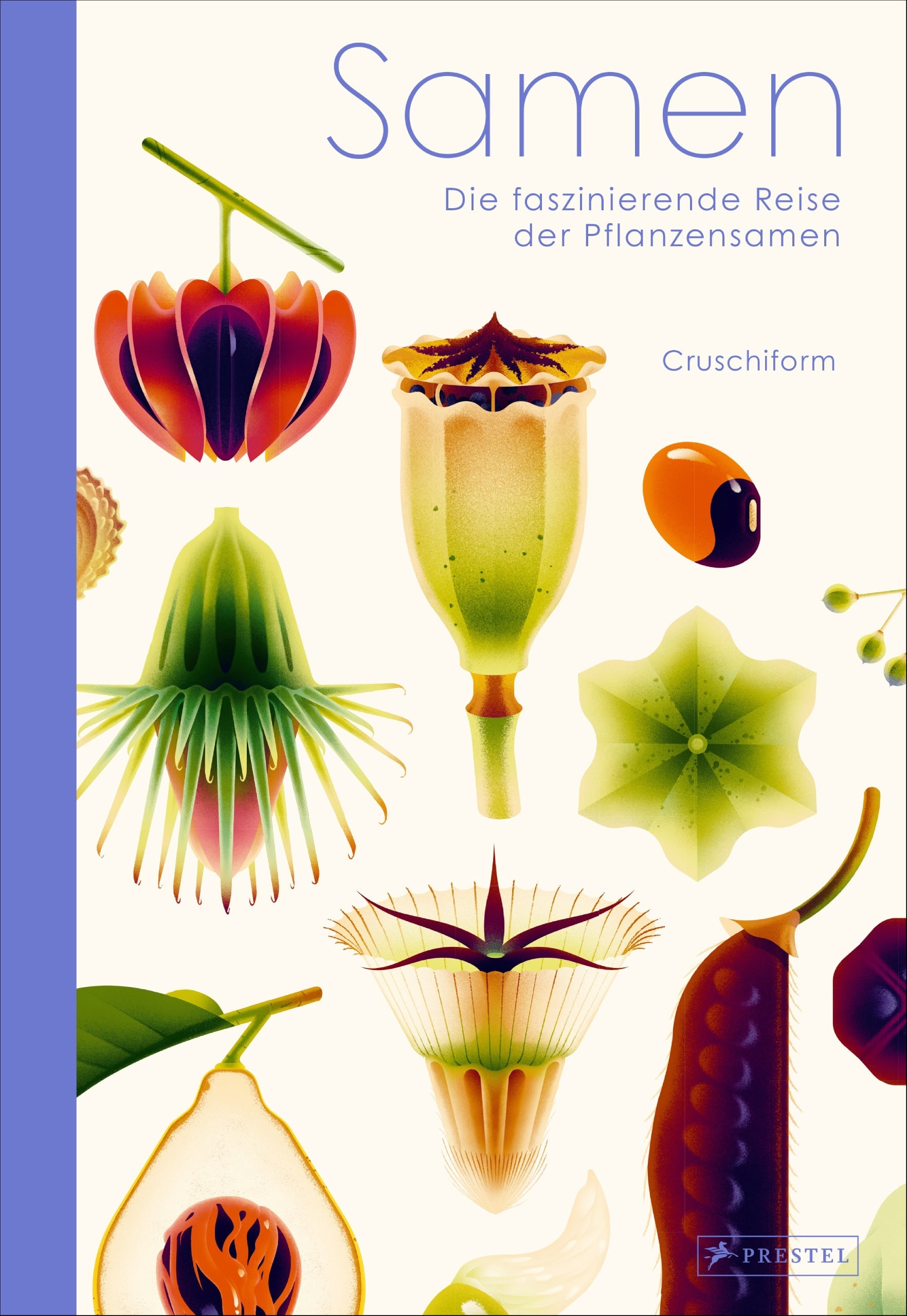 Tolle Kinderbücher über die Natur: Samen von Cruschiform