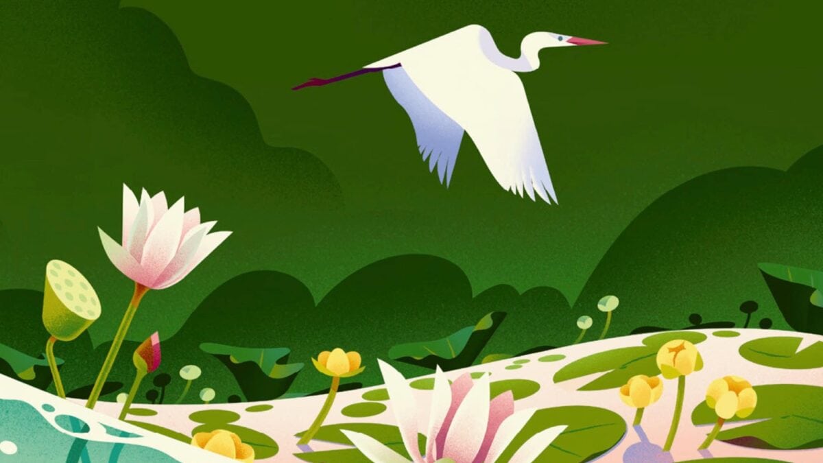 Tolle Kinderbücher über die Natur: Samen von Cruschiform