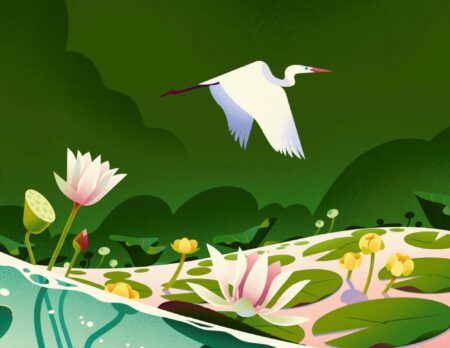 Tolle Kinderbücher über die Natur: Samen von Cruschiform